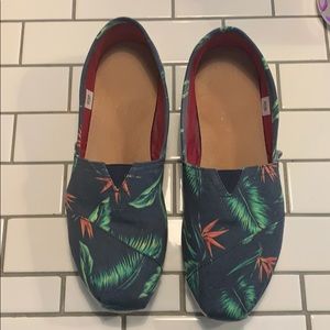 TOMS Navy Canvas Birds of Paradise Print 7.5